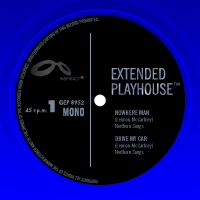 extended playhouse